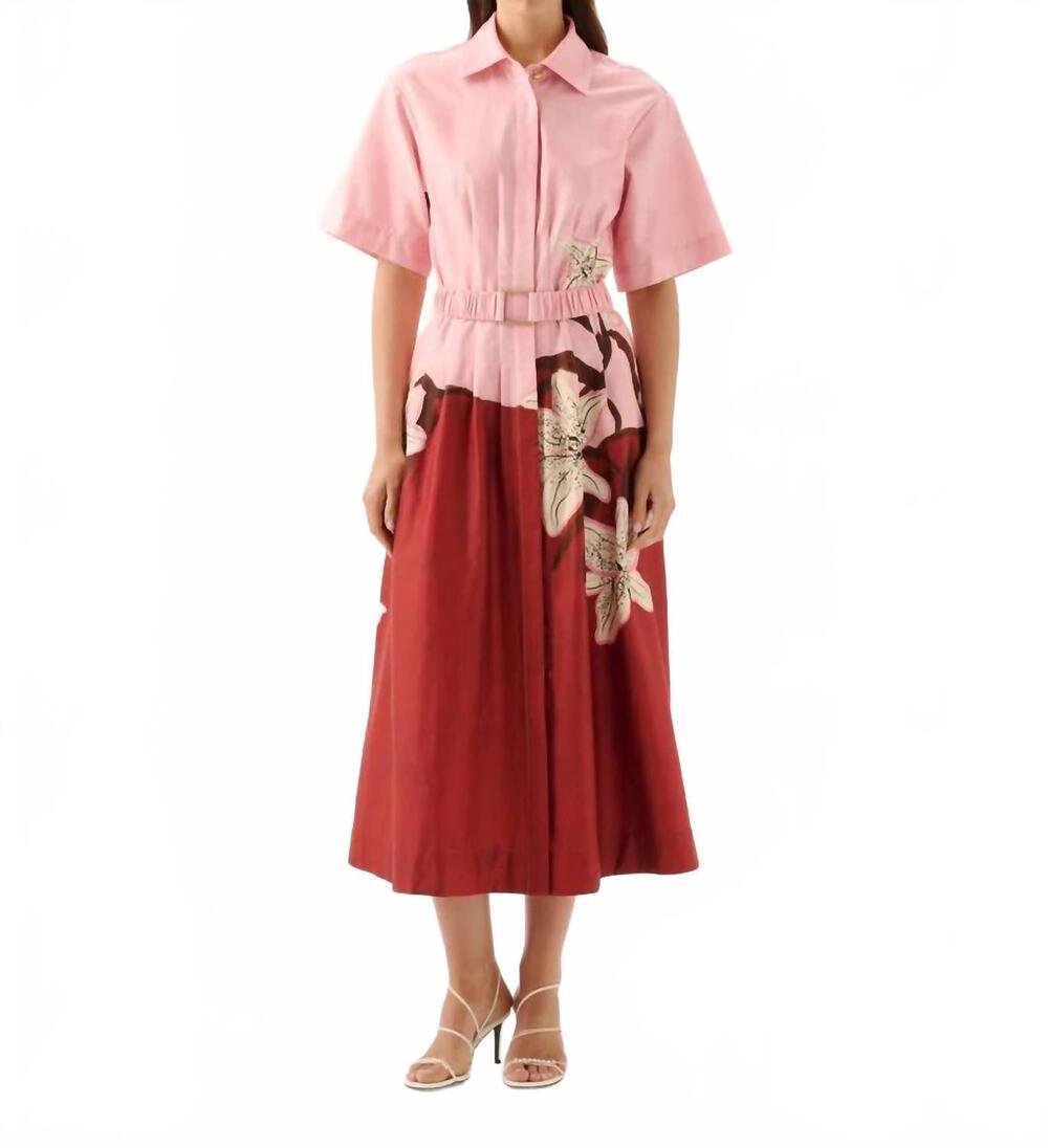 NEW ROAME garcia shirt dress in liliana